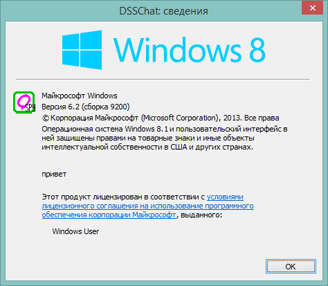 Сведения о программе DSS Chat