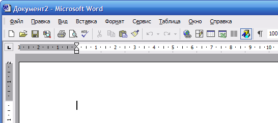 Microsoft Word