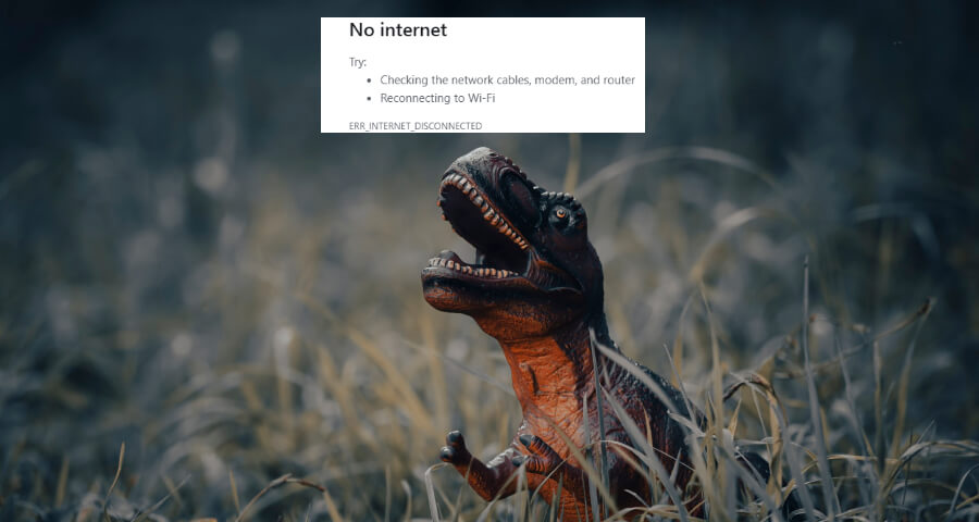 No internet connection