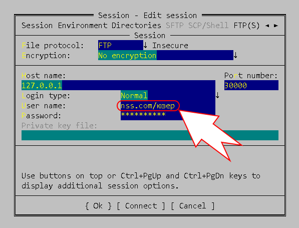 Domain users FTP authorization