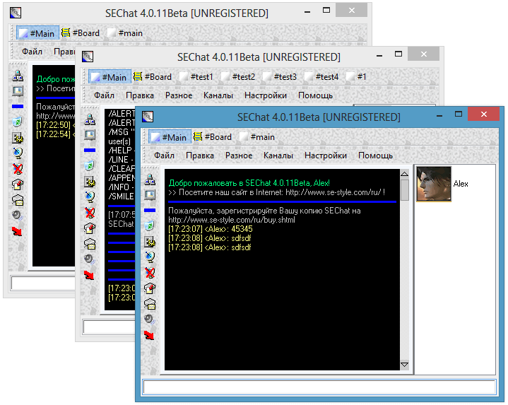 Множественный запуск SEChat