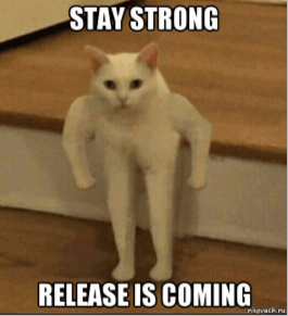 strong cat.png